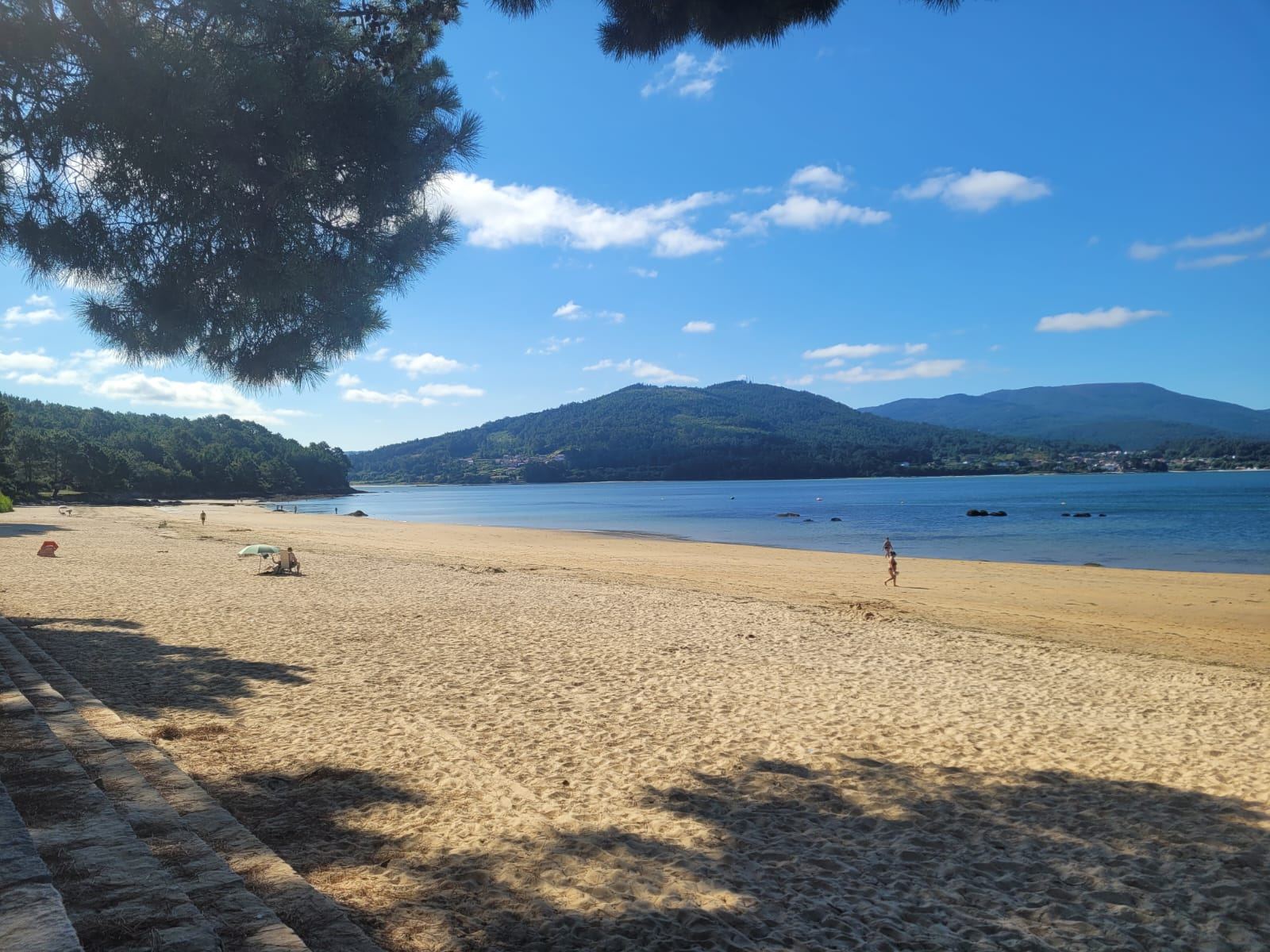 Playa de arena con pinos y la ría al fondo