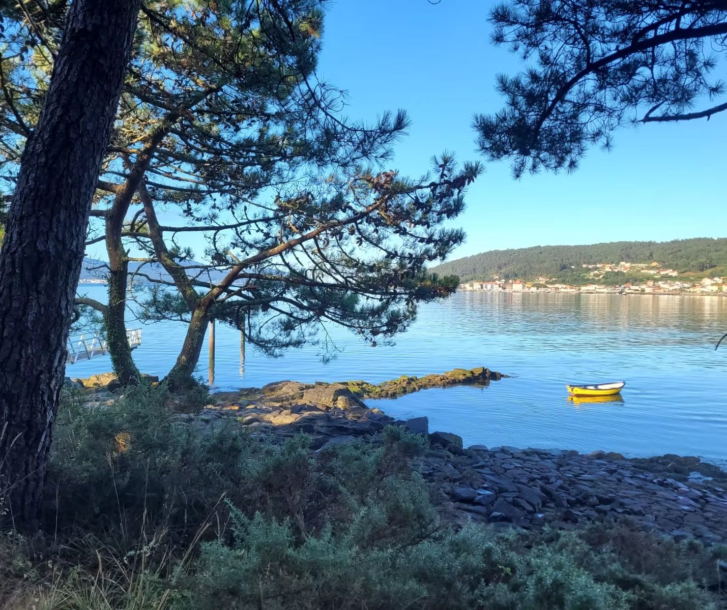 La ría entre pinos con una barca amarilla