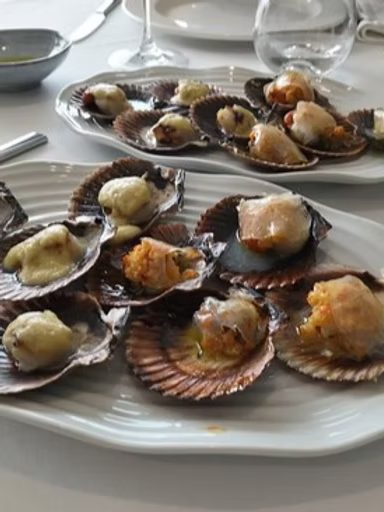Vieiras gratinadas servidas en su concha